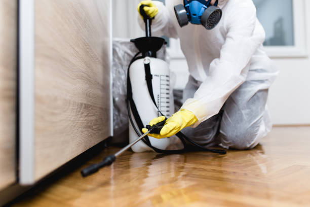 Pest Control Cost in Mcdonough, GA
