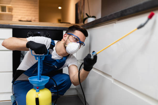 Flea Control Services in Mcdonough, GA