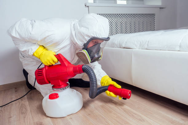 Best Pest Inspection Near Me  in Mcdonough, GA