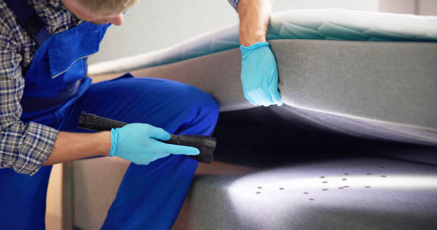 Best Pest Control Near Me  in Mcdonough, GA