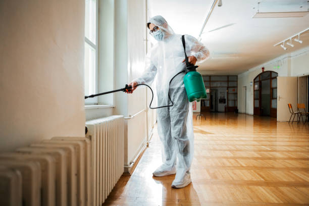 Best Affordable Pest Control Services  in Mcdonough, GA