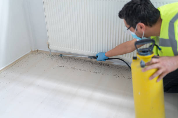 Best Residential Pest Control  in Mcdonough, GA
