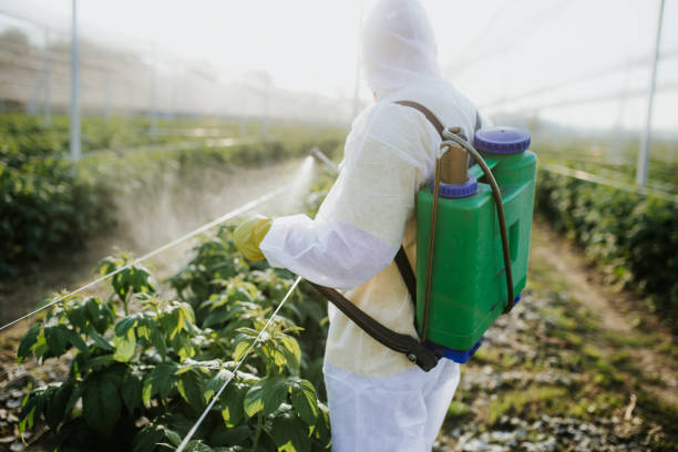 Best Rat Extermination Near Me  in Mcdonough, GA